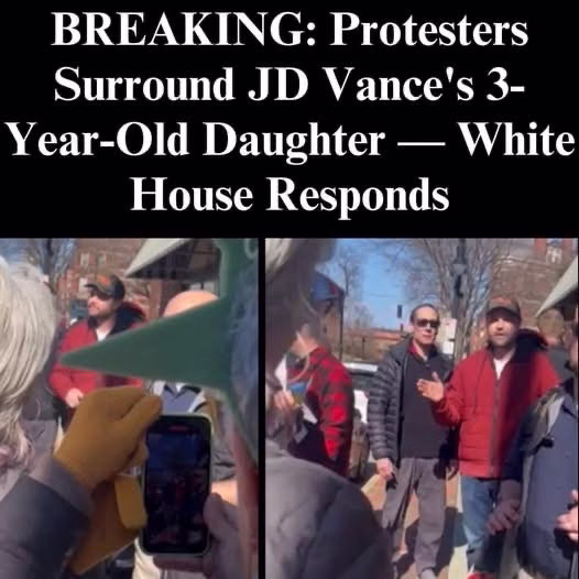Team Vance Responds Following the Harassment of the Vice President and Her Daughter by Pro-Ukraine Demonstrators.