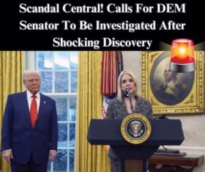 Dem Senator Faces Investigation Calls Amid Alleged Pay-to-Play Scandal